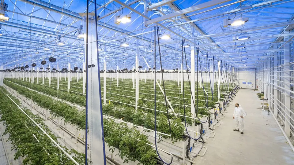 Peckas naturodlingar