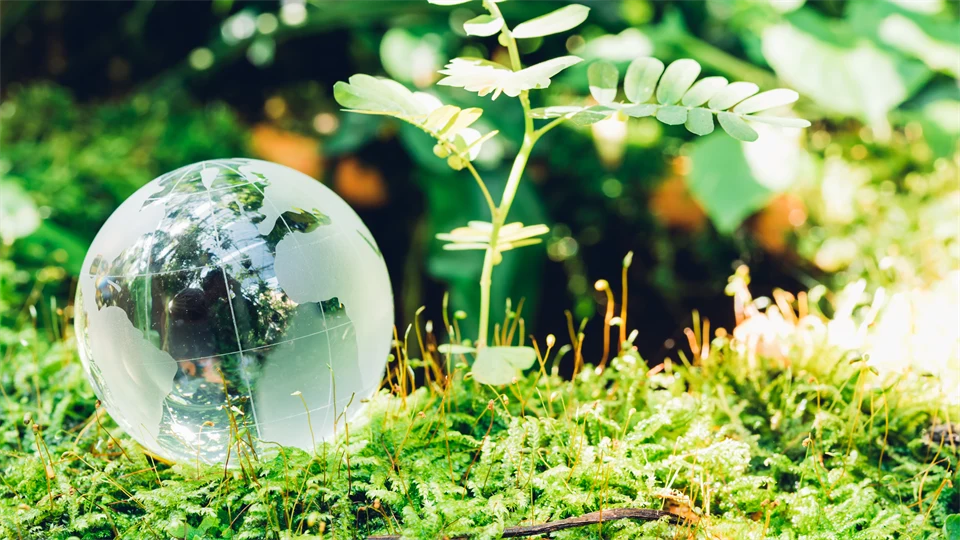 Jordglob miljö natur