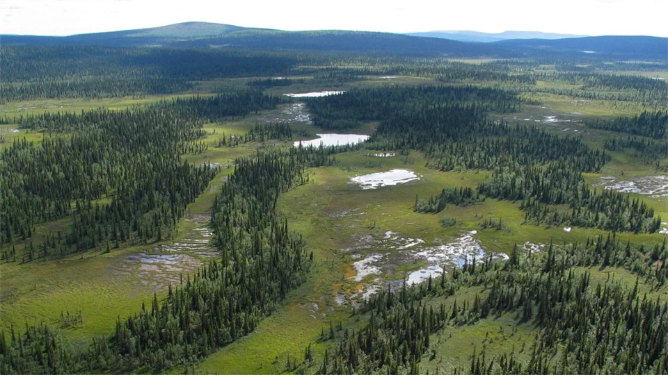 Skogs- och fjällandskap