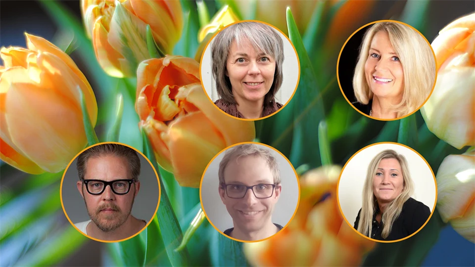 I bakgrunden en närbild av orangea tulpaner. Ovanpå bilden av tulpaner, fem cirklar med en persons ansikte i varje. Tre kvinnor och två män.