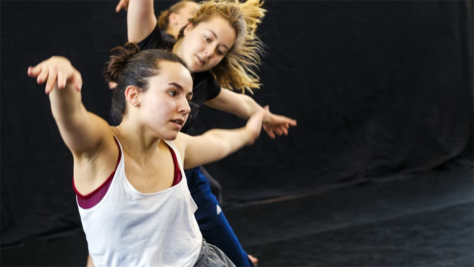 Temadag lärarutbildningen, Norrdans