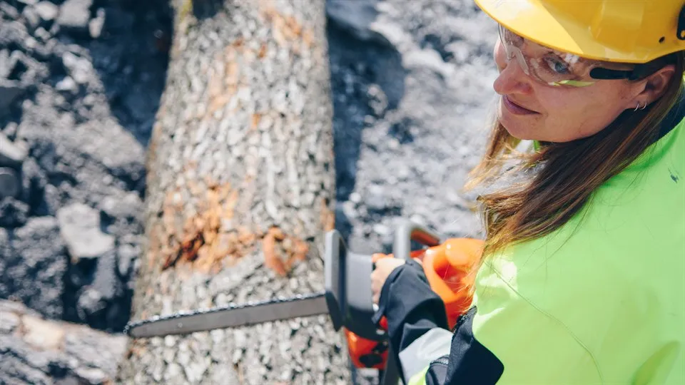 Skog skogsarbetare motorsåg