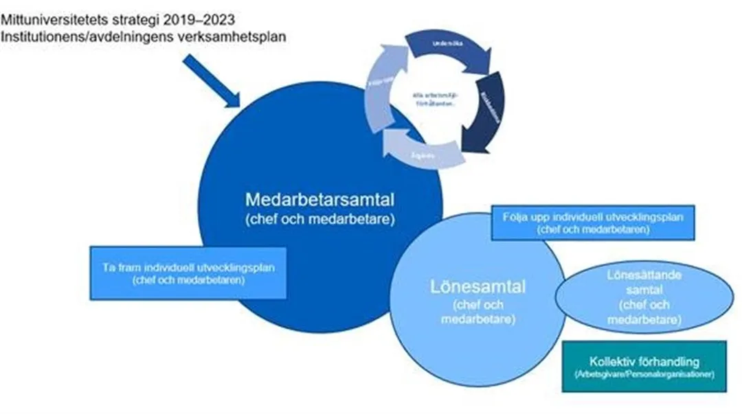 Medarbetarsamtal