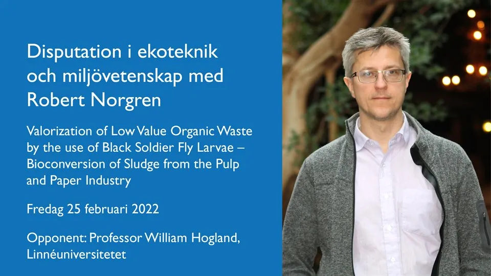 Robert Norgren, disputation