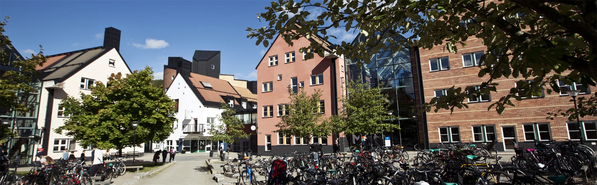 Campus Sundsvall