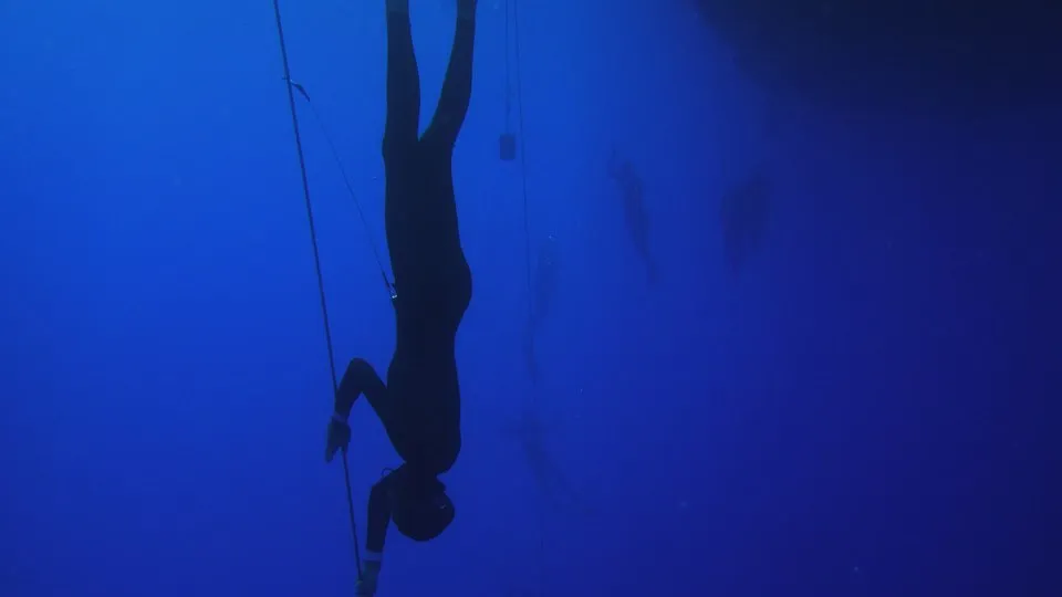 Djupdykning VM, EPG, dykning, 