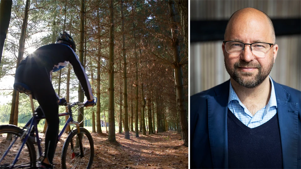 Kollage: Cyklist i skogen, Porträttfoto av man i glasögon