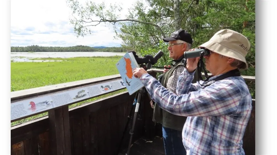 Två personer står i utkikstorn i Ändsjön och fågelskådar