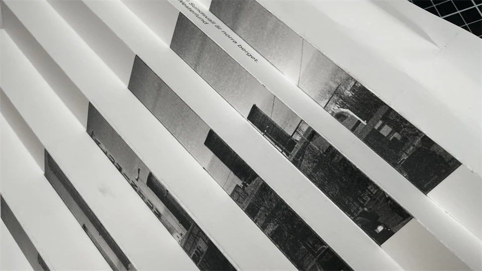 Vernissage med 22 nya böcker om Sundsvall