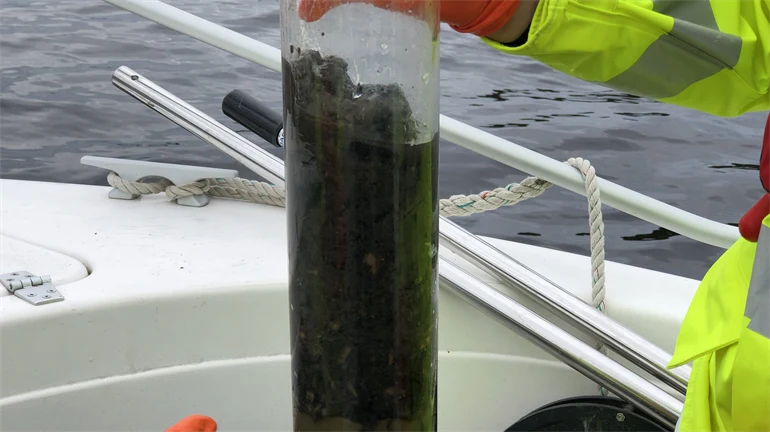 Provrör med bioslam från fiberbank