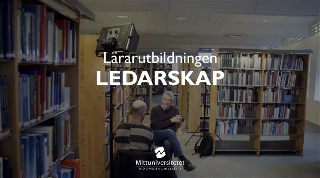   Ledarskap