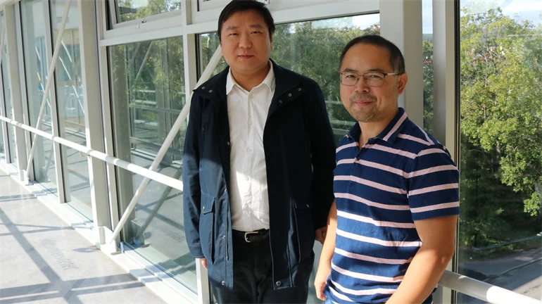 Professor Ya Yang