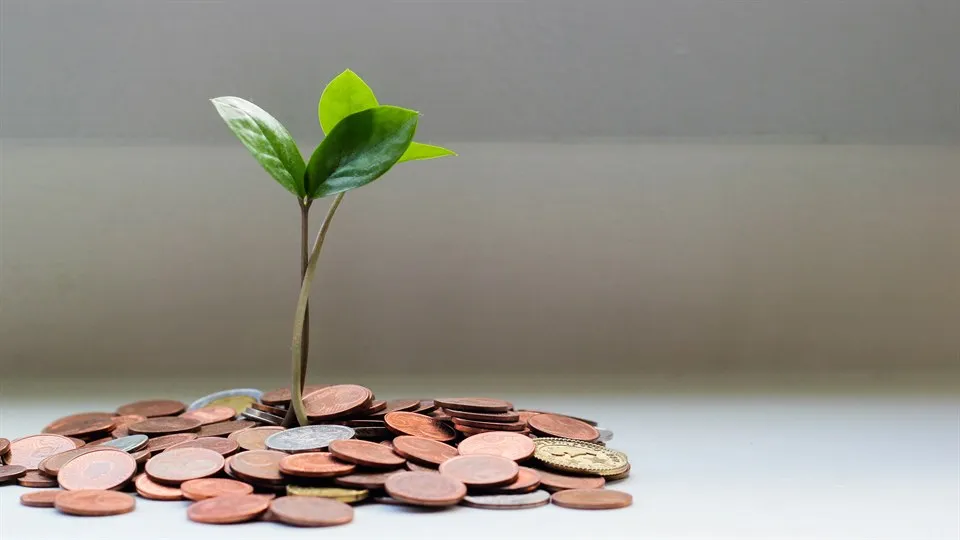  A plant that grows from a pile of coins
