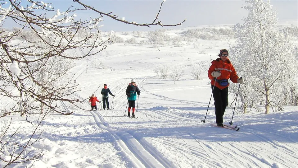 Turskidåkning i Härjedalen