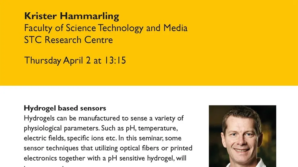 Half time seminar Krister Hammarling