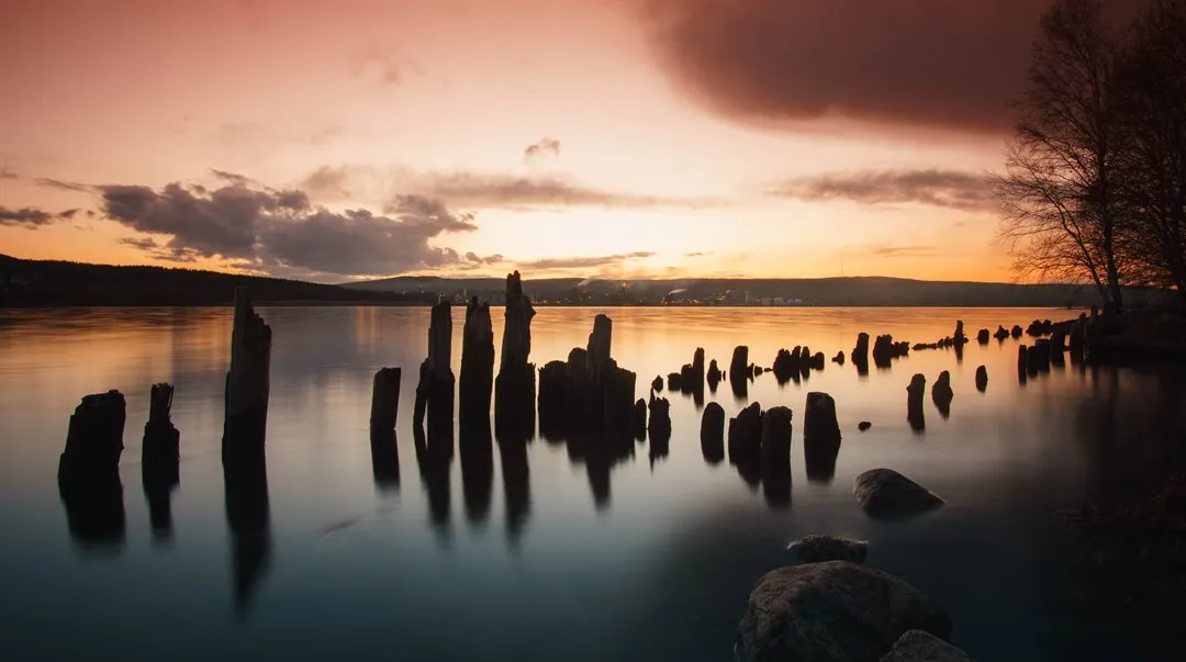 Träpålar i vattnet i solnedgång