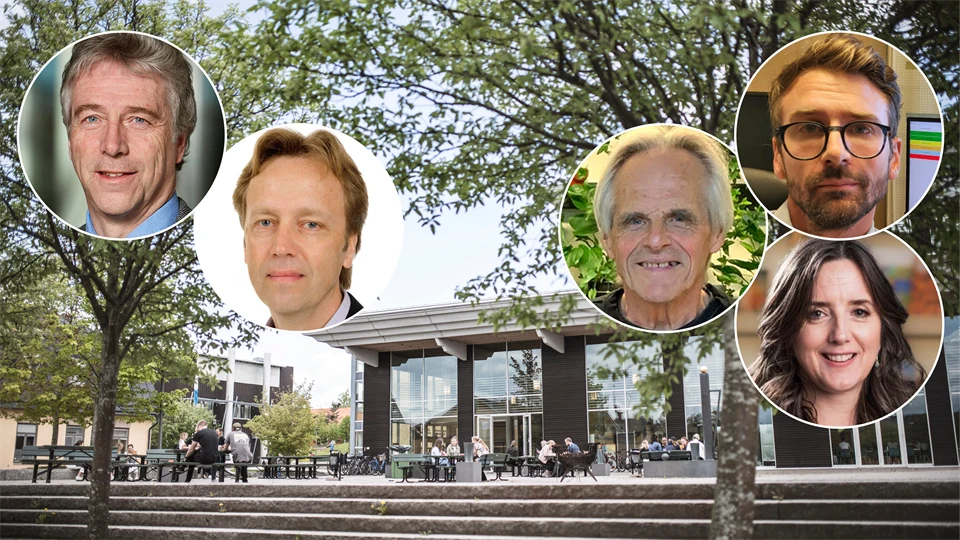 skogens värden 4