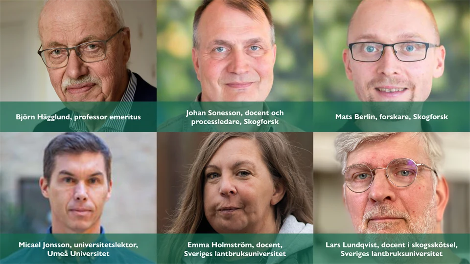 Skogens värden seminarium 3