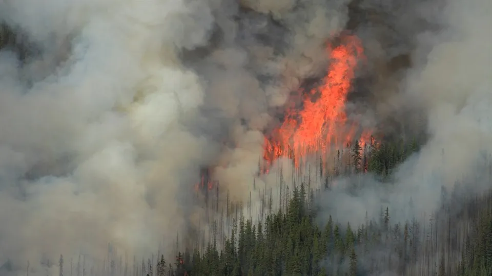 Skogsbrand från luften, flygfoto