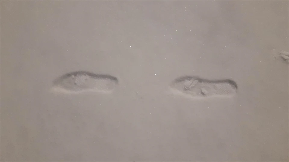 Footprints on a sandy beach.