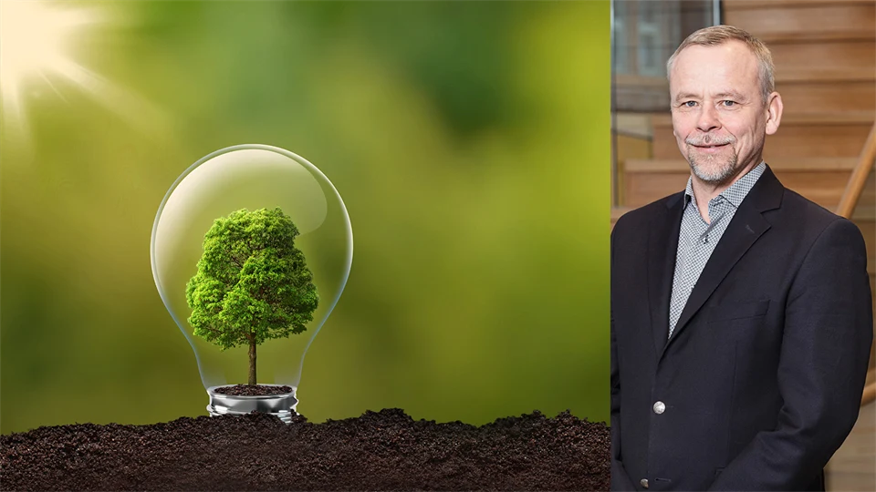 skog lampa man i kostym