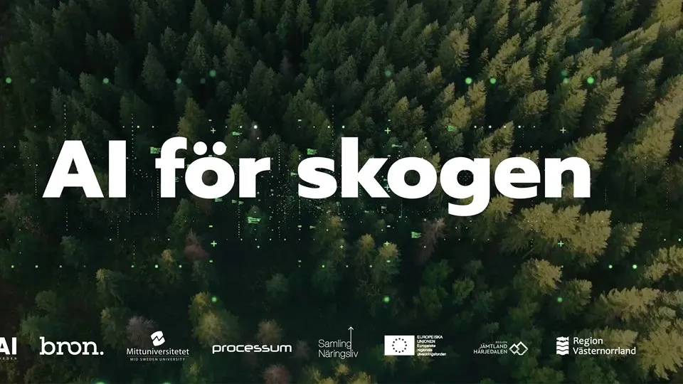 AI för skogen workshop 2 mars