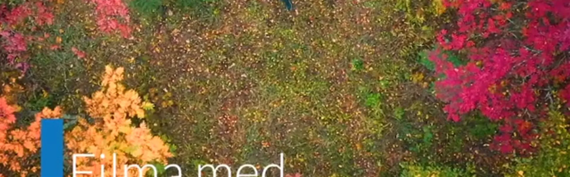 Filma med drönare Mattias Vesslegård