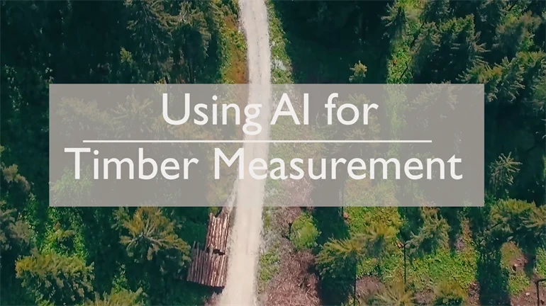 Virkesmätning med AI