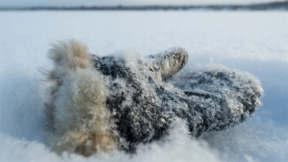 Borttappad vante i snö
