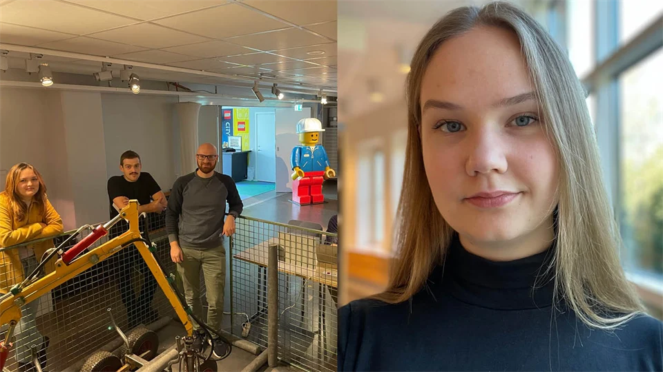 Team members in the SIMS course