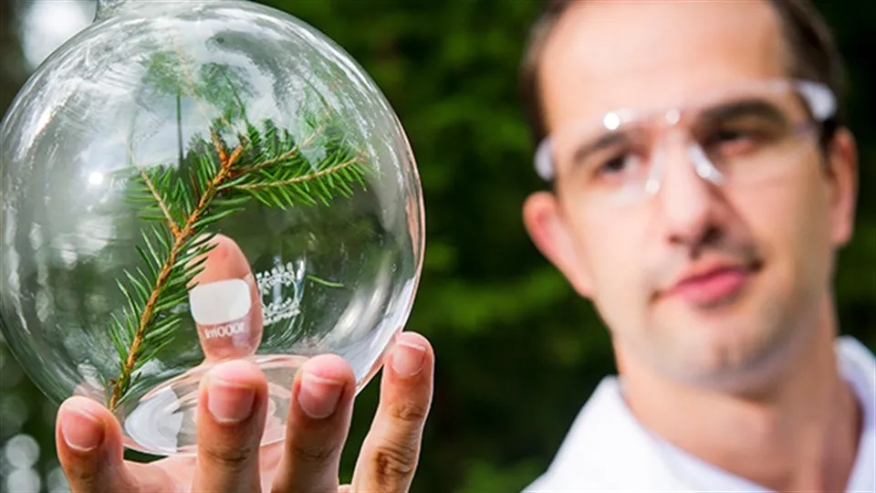 Workshop Processum MISTRA