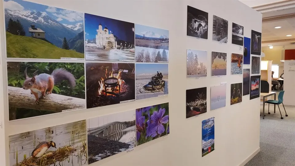 Exhibition Campus Library Östersund