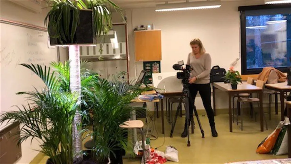 DEVA Timrå Gymnasium