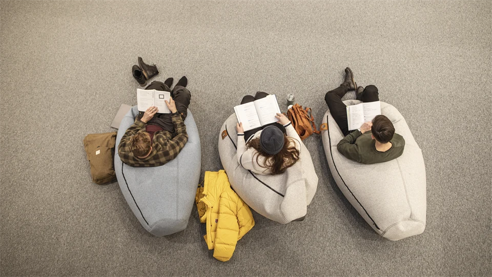 Students in library (Östersund)