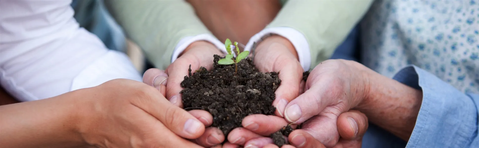 hållbarhet, samarbete, team, utveckling