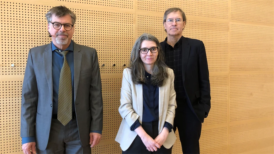 Irina Dimitrovas licseminarium