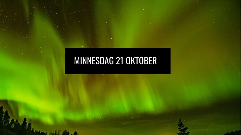 Minnesdag - svensk samepolitik får inte glömmas eller gömmas