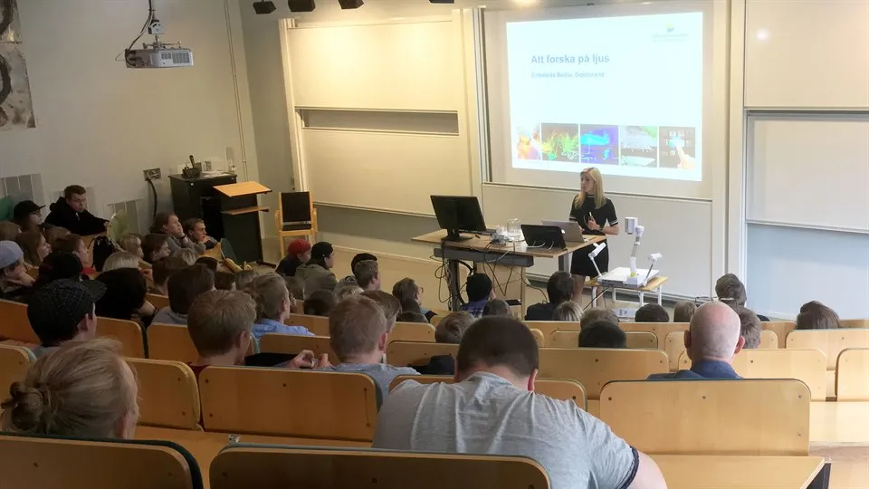 Vetenskapsdag