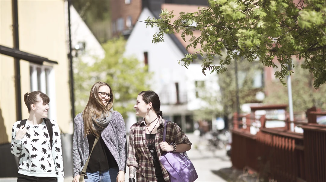 Studenter, Sundsvall, utomhus