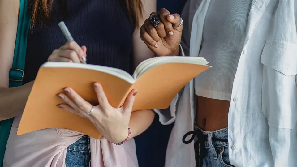 Two friends writing in a journal
