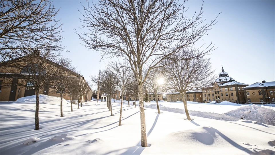 Campus Östersund, exteriör 
