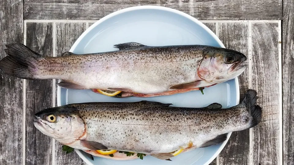 Fisk på ljusblå  tallrik