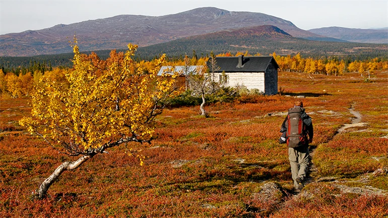 Vägar till mångfunktionella fjällandskap