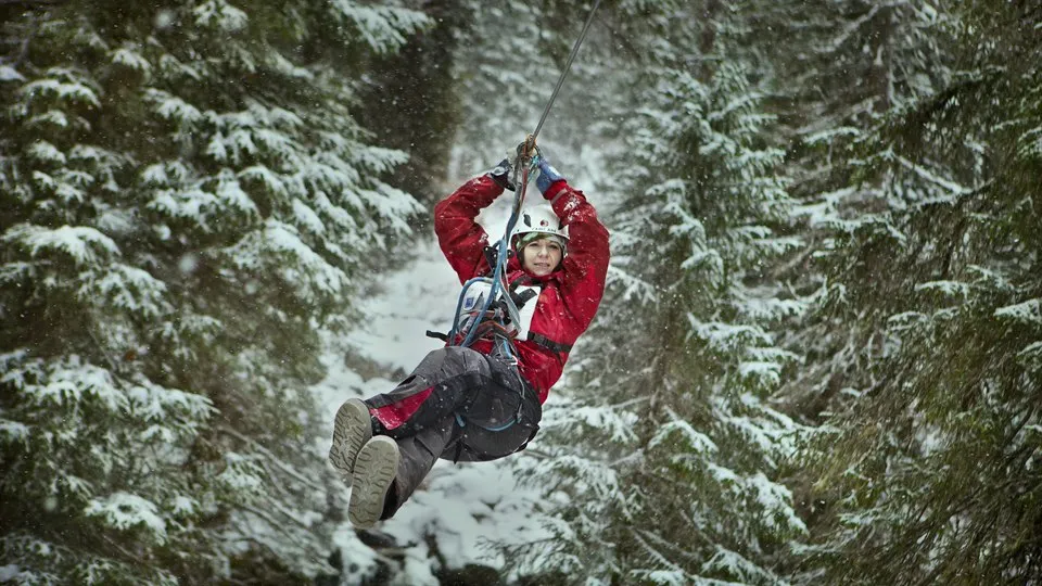 Gamla bildbanksbilder