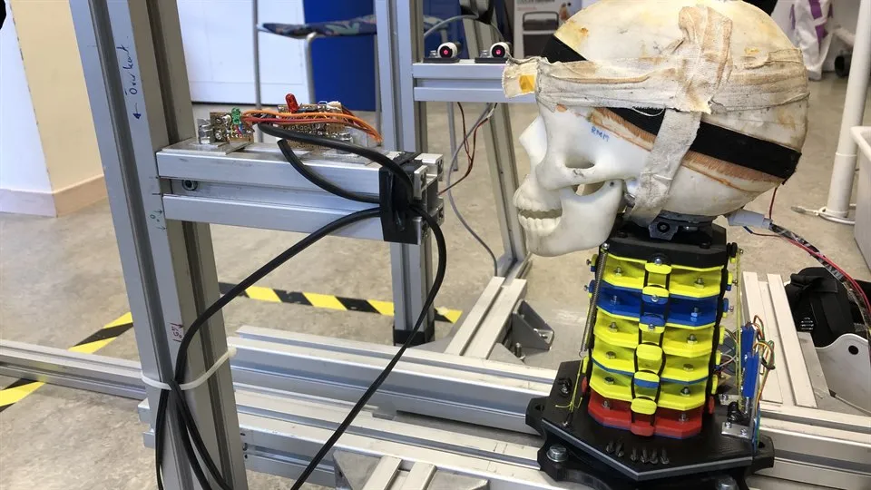 Realistic head and neck surrogate 