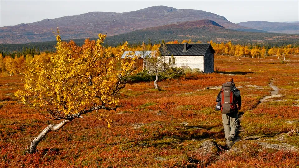 Vägar till mångfunktionella fjällandskap