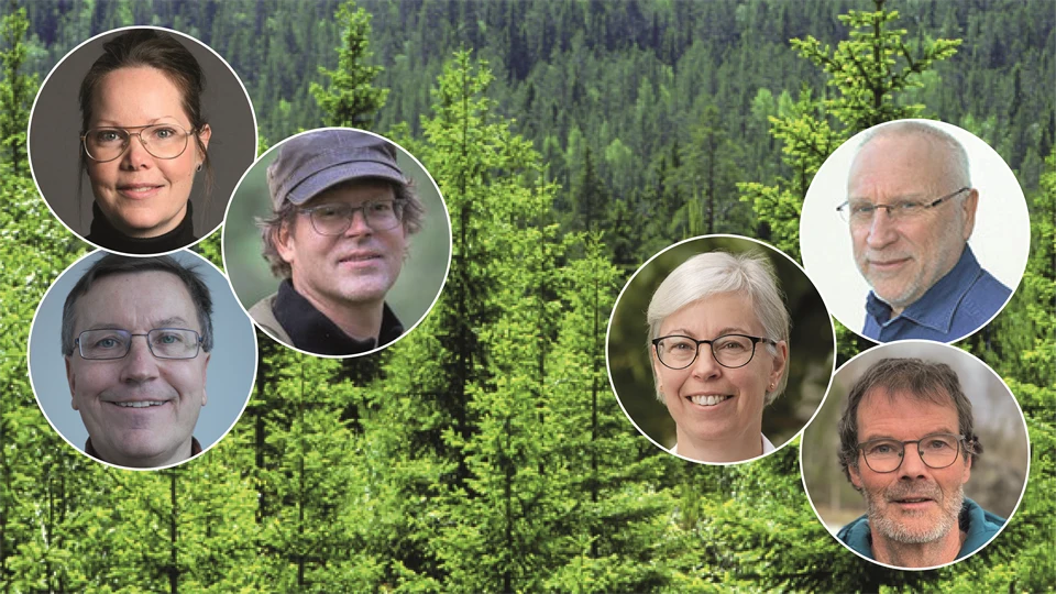 skog med sex bollar med ansikten i 