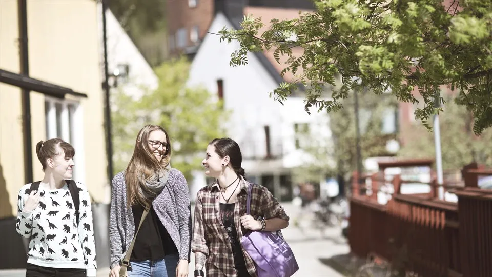 Studenter, Sundsvall, utomhus