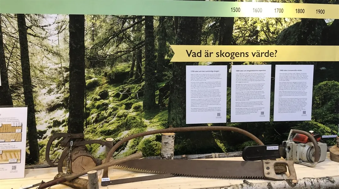 skogsarbetsredskap på en bänk framför en poster föreställande en skog