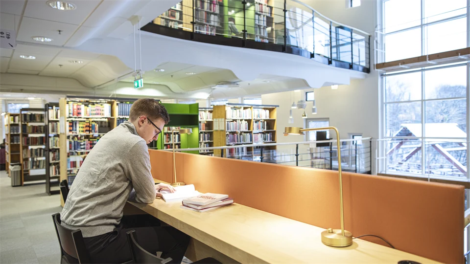 Study situation library